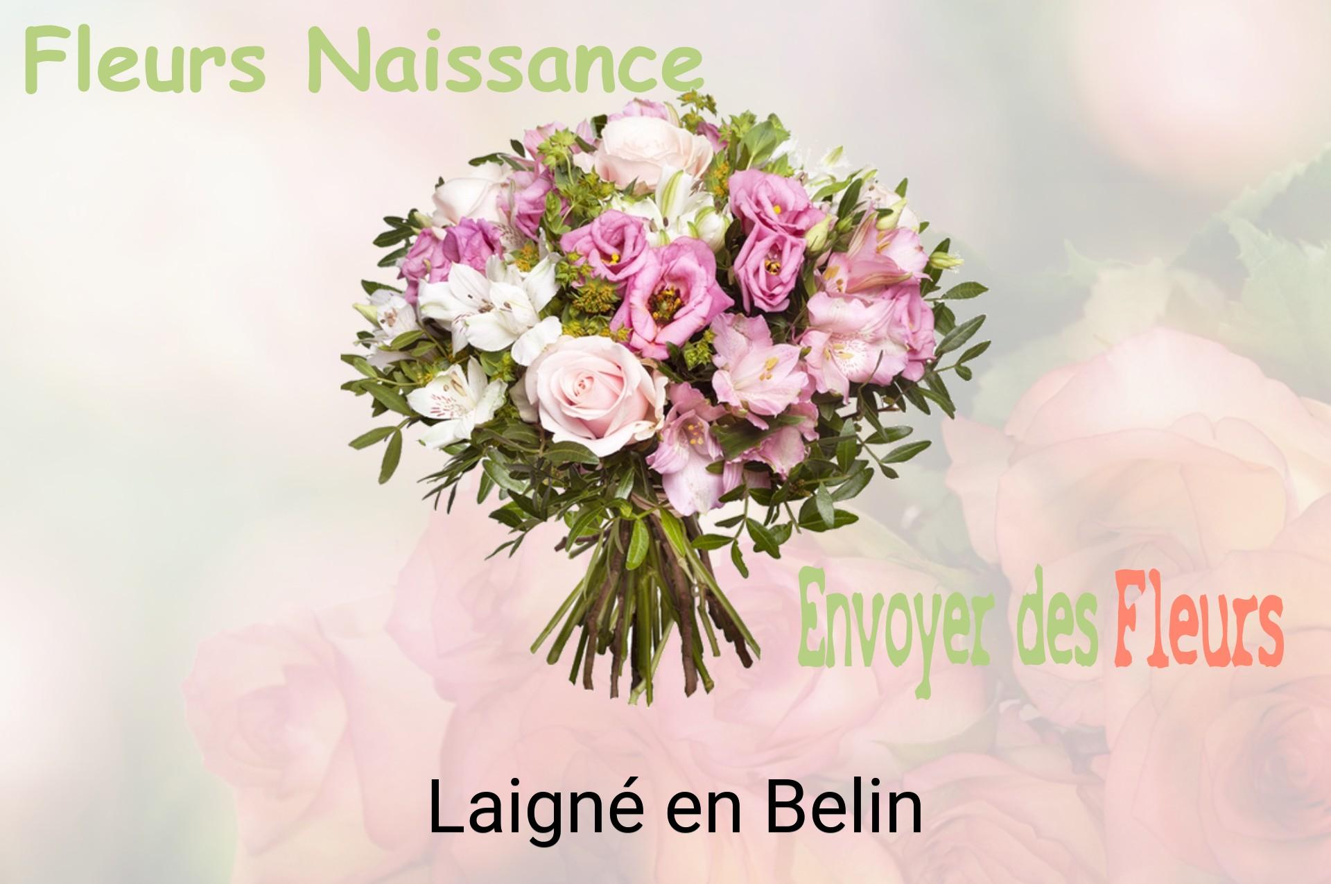 Bouquet de fleurs de naissance livré à Laigné-en-Belin